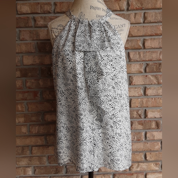 Ann Taylor Tops - Ann Taylor Silk Sleeveless Career Blouse Size 12.